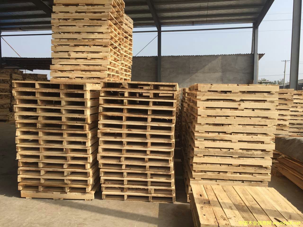 ��(sh��)ľ�бP��ľ���塢��܇��ľ���塢�}(c��ng)��(k��)���D(zhu��n)�������l(f��)