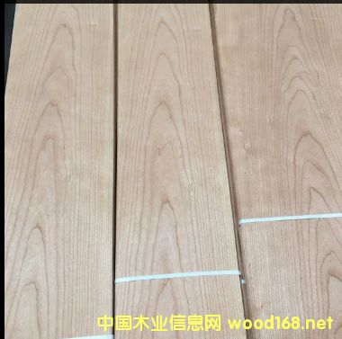 ����ɽ�yľƤ��Ԕ��(x��)��B