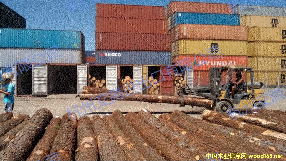 �����ɘ�ԭľ��Ԕ��(x��)��B