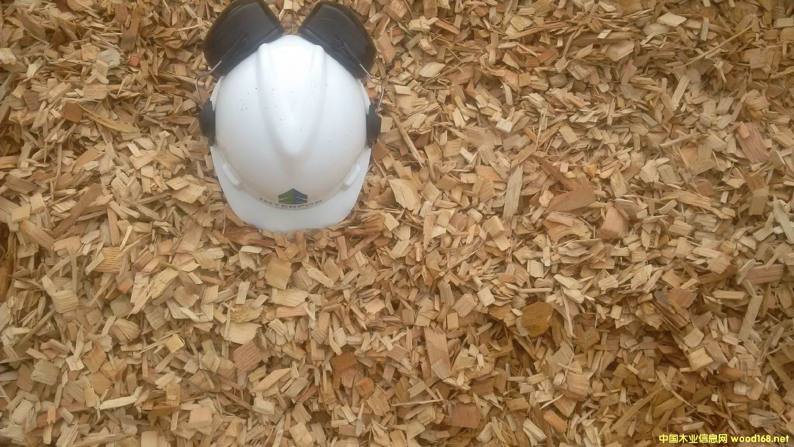 [��] �M(j��n)�������Ϸ���ľƬ