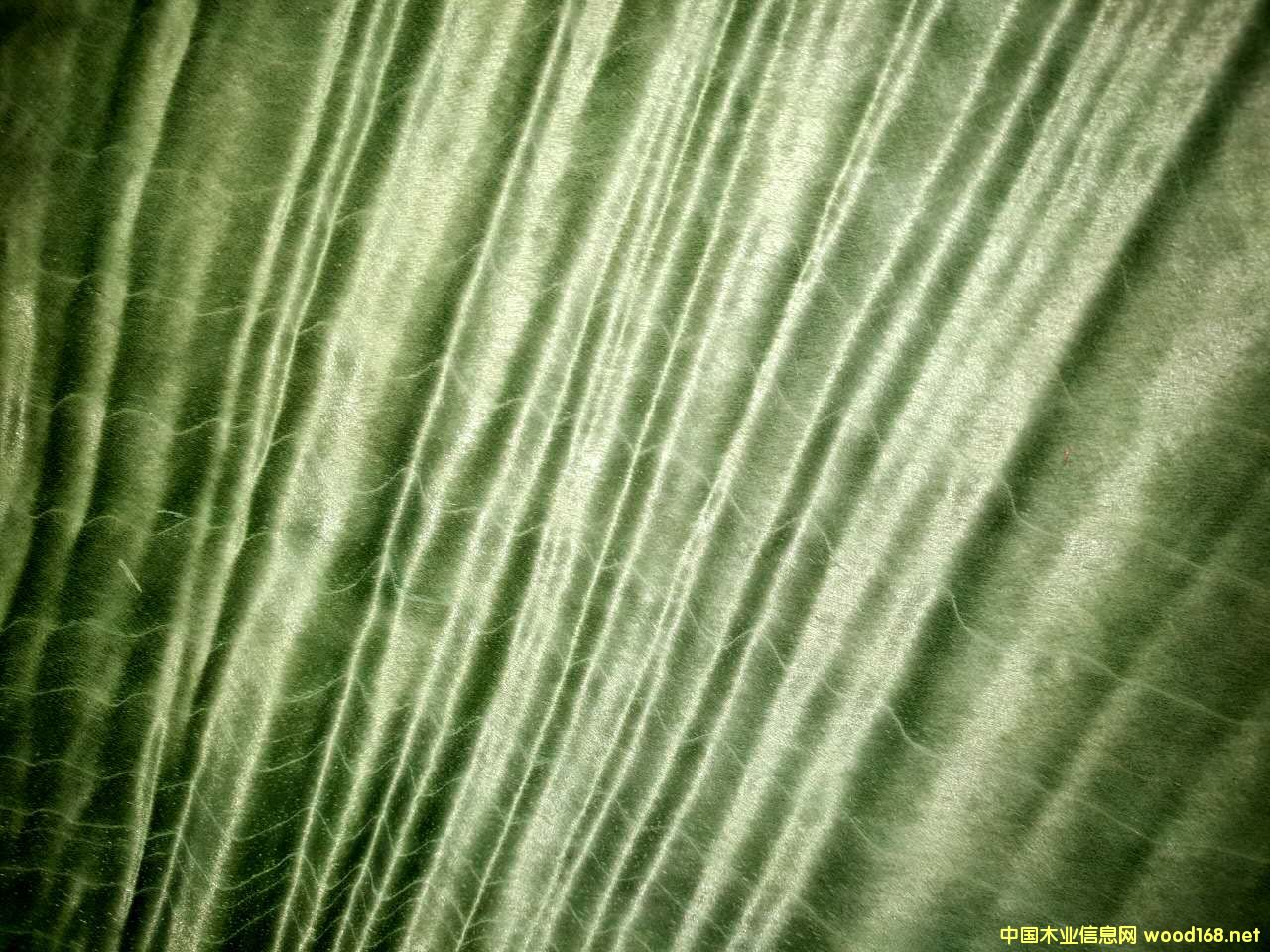 Ⱦɫ��z�ľƤ��Ԕ����B