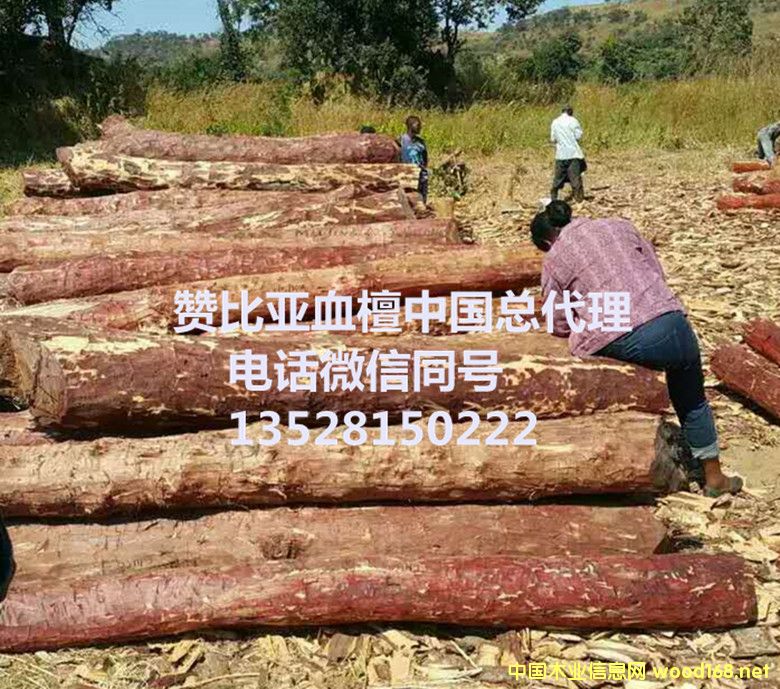 ٝ�ȁ�Ѫ̴��Ԕ����B