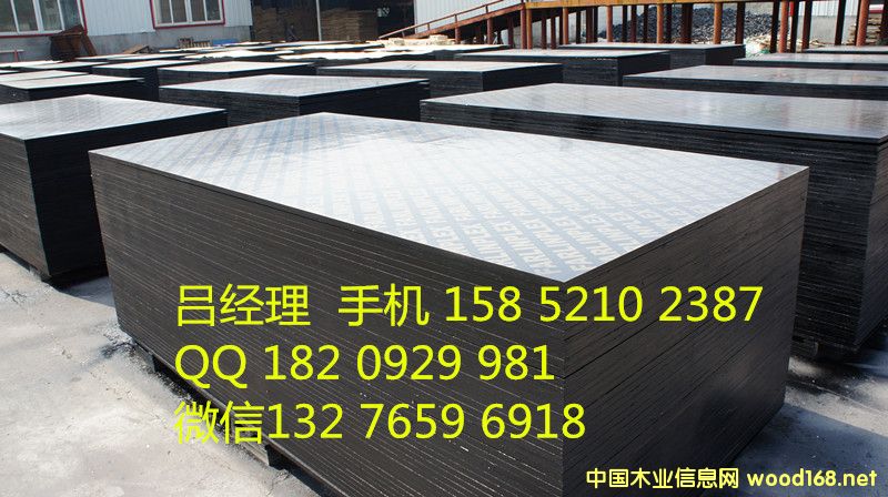 18mm ��ľ������ˮ��Ĥ��