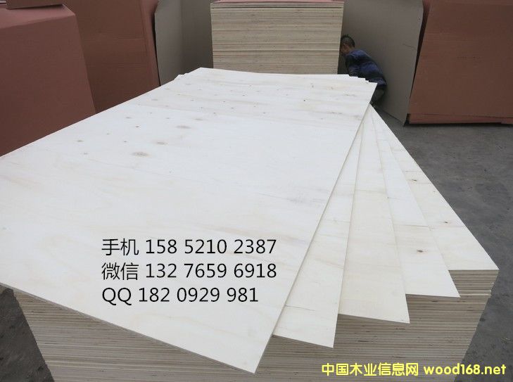 16���ľ�����z�ϰ� ������Ӱ�