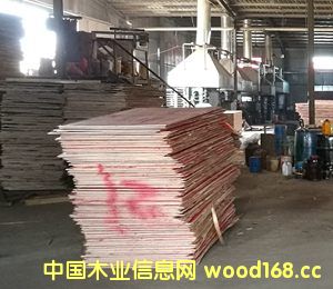 ����ģ��5