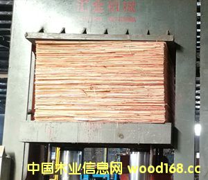 ����ģ��4