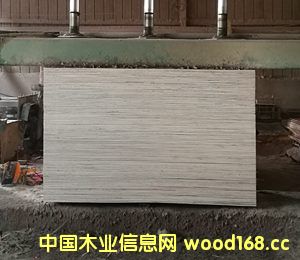 [��] �����н���ģ��r(ji��)��һ�[��