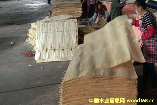 ����ģ��11