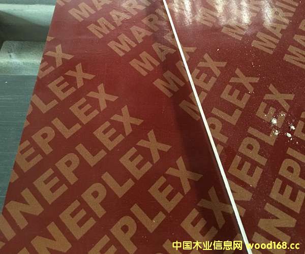 ����ģ��19