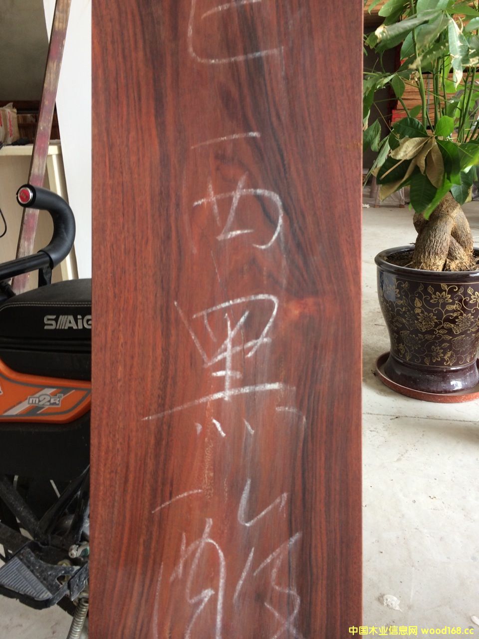 ��������֦ľԭľ��Ԕ����B