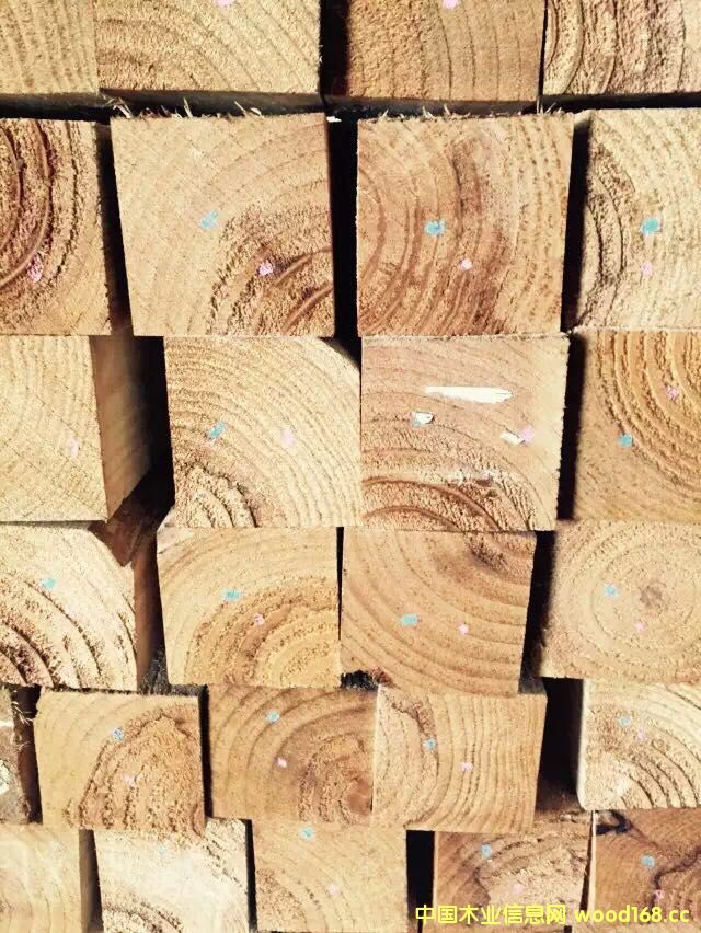 �����mݗ���ɇ���(n��i)�ӹ���Ԕ����B