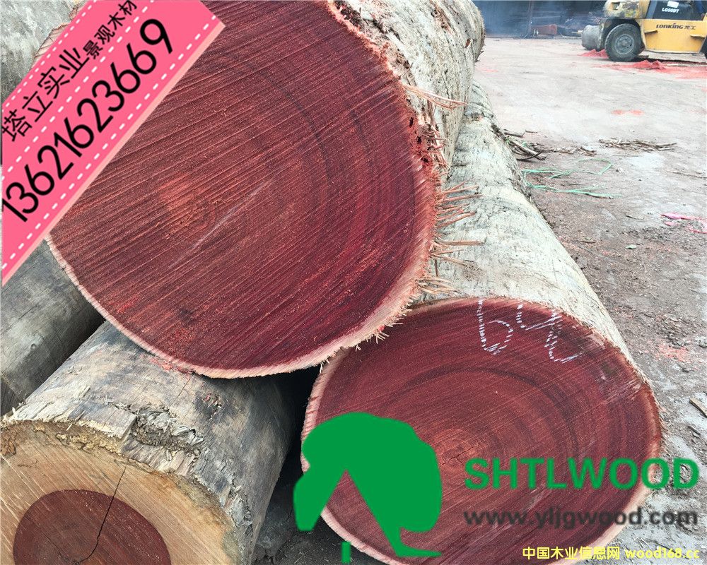 �t��ľ���t�̈́ڶ���