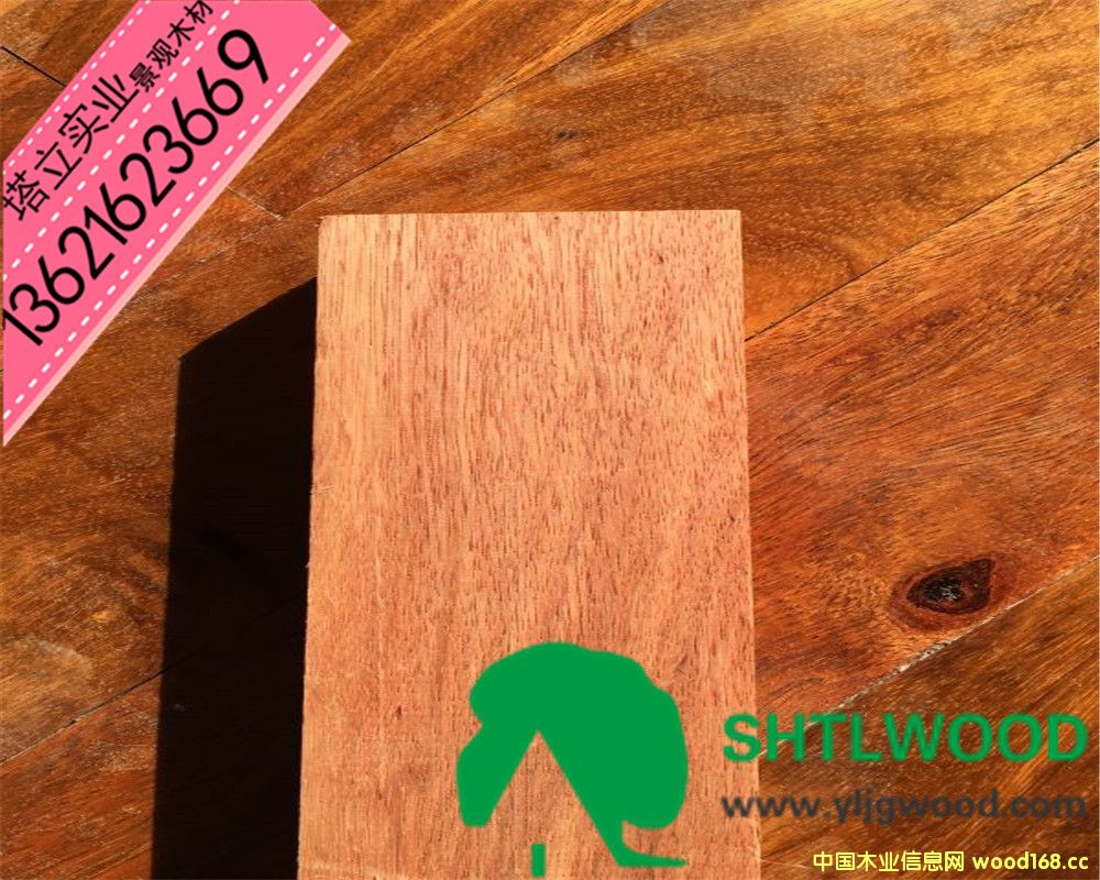 ��ľ�������������ľ