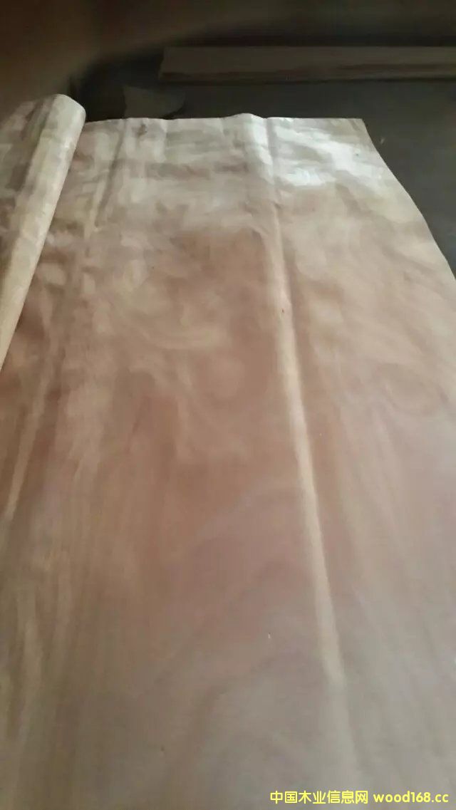 �W����ľƤ��Ԕ��(x��)��B