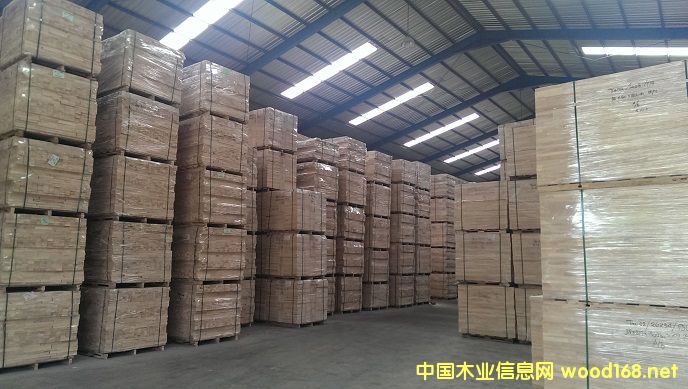 ���zľ���ݲ������l(f��)