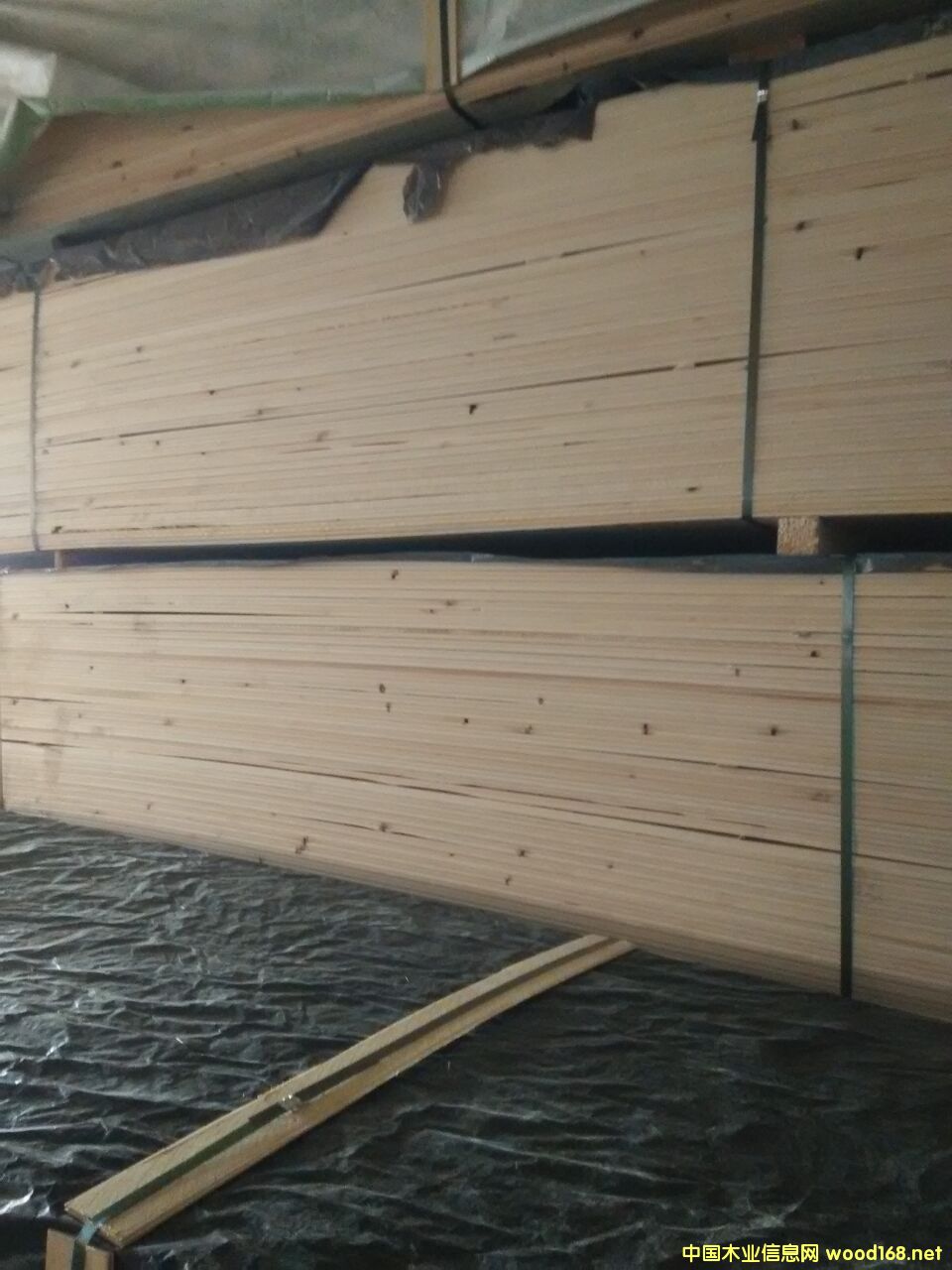 ��ľ����l��Ԕ��(x��)��B