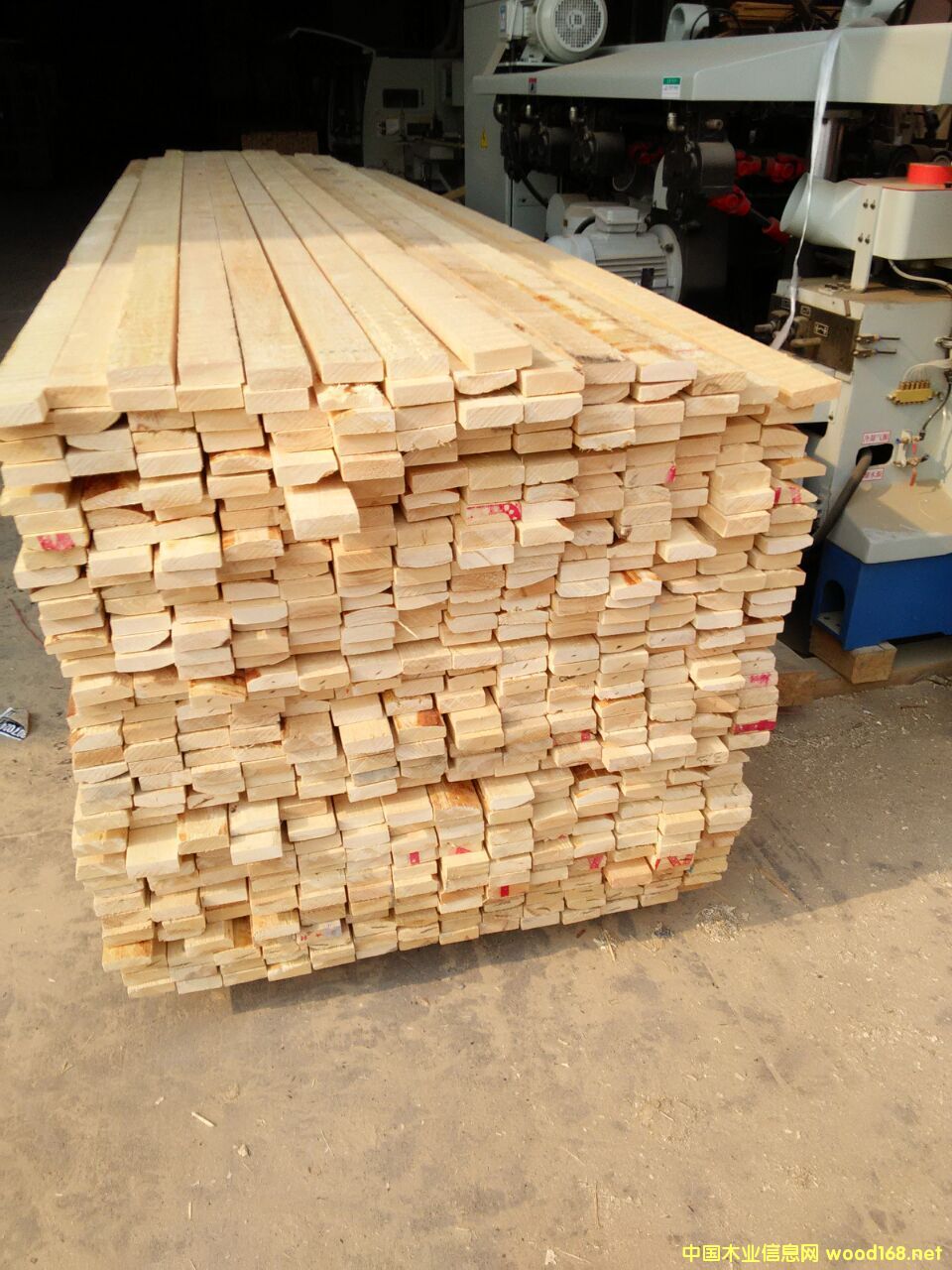 ��ľ�o��(ji��)��