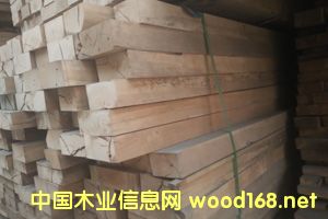 ����о��