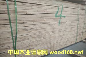 ��ľָ��(ji��)�l