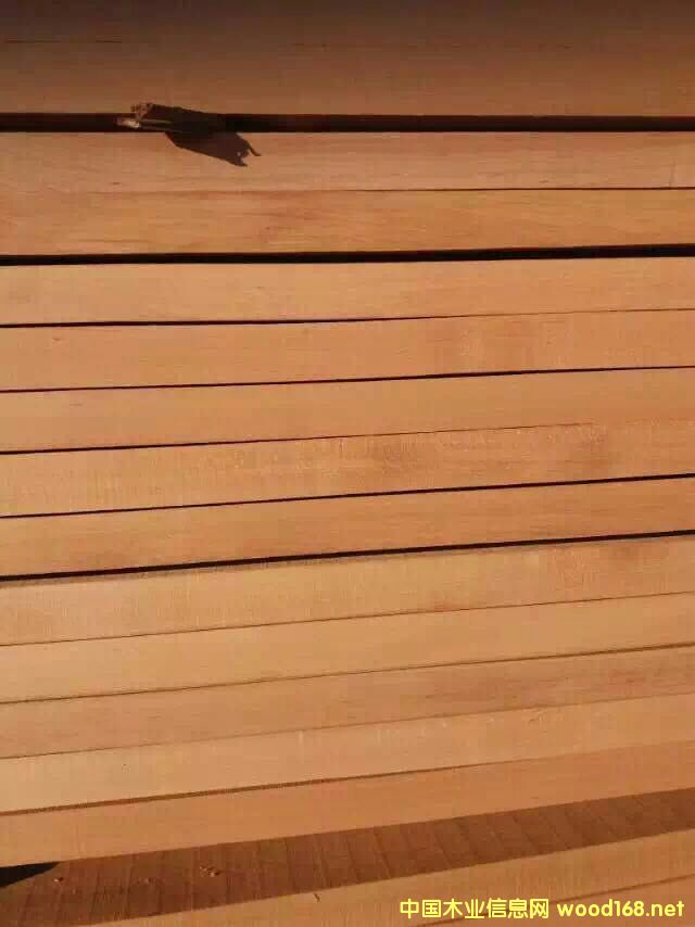 ��ľ�R߅�ĵ�Ԕ����B