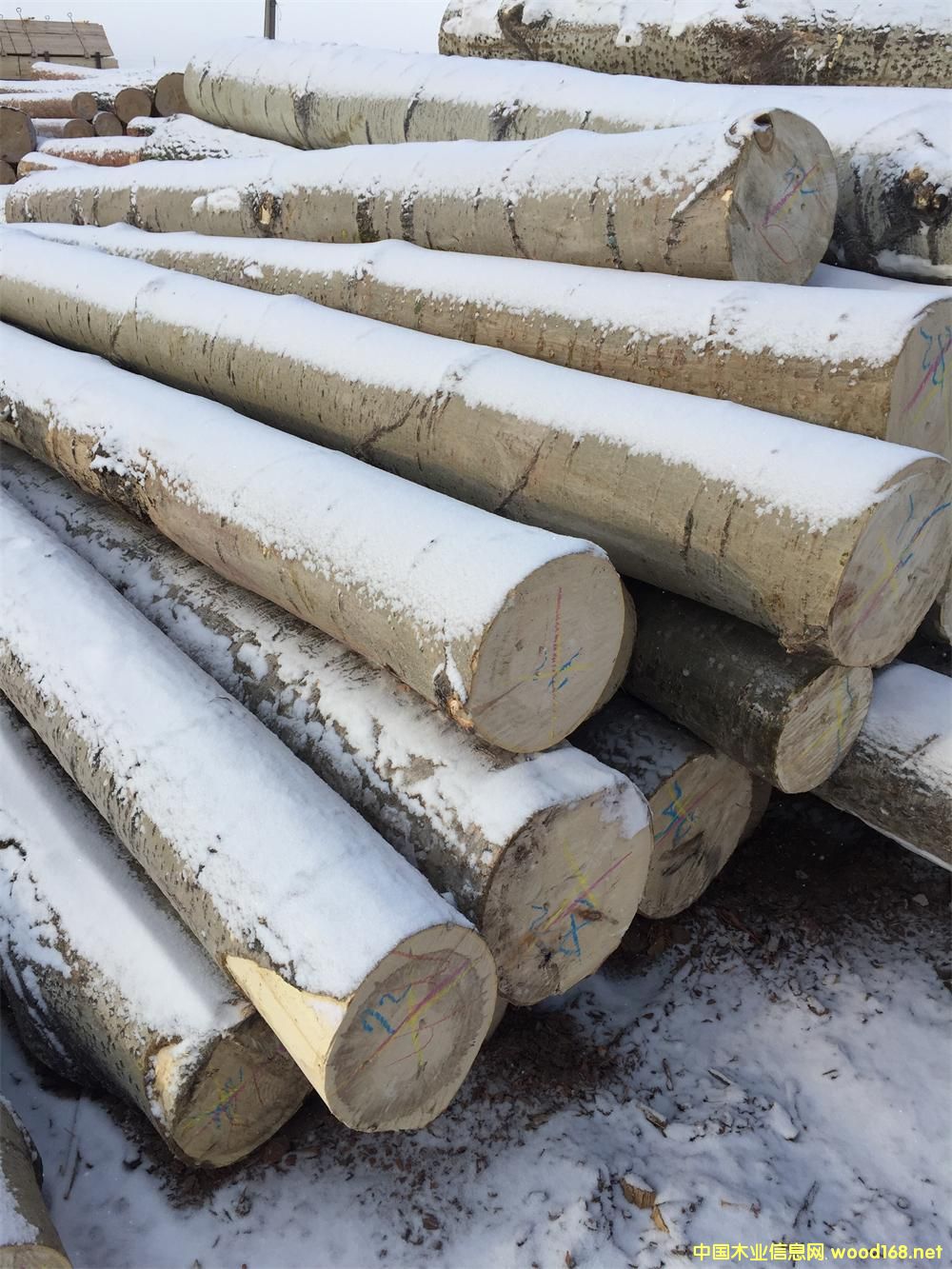 ��ľ4��6��ԭľ��Ԕ��(x��)��B