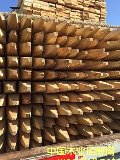 ���_˹�M(j��n)�����~������Ҏ(gu��)��