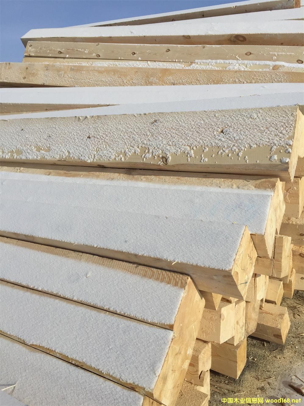 ������100��200��6000��ľ��Ԕ��(x��)��B