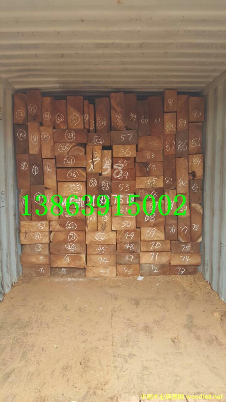 ����ľ��ľ���