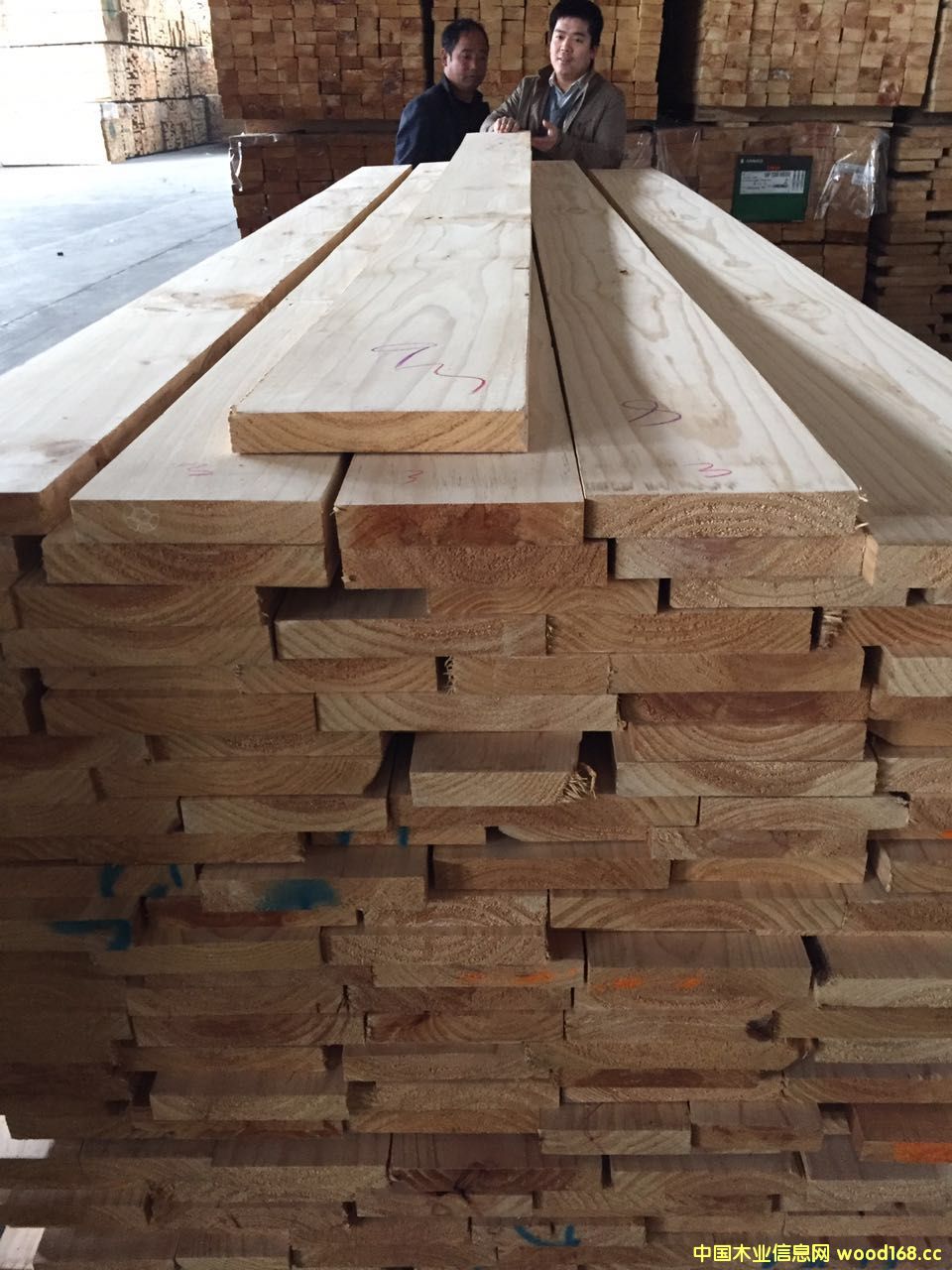 ݗ���Ɇ��湝(ji��)��Ԕ����B