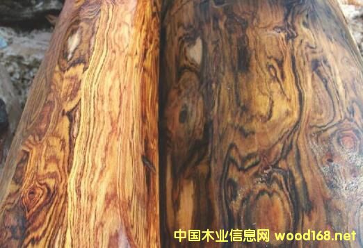 <����>����ľ����������ľ������̴��