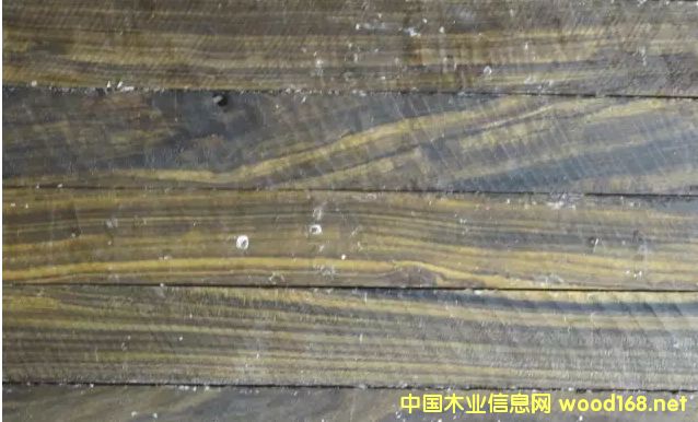 木材百科:沉貴寶木材產(chǎn)地和詳細特征