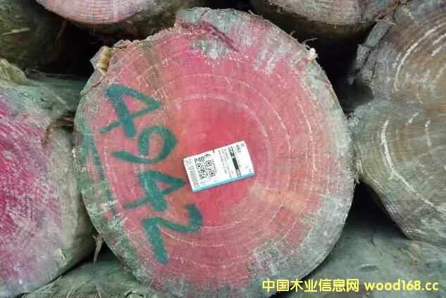 �����d�A�� ɭ��ľ�I(y��)��؛�������mݗ������ס�џo��(ji��)��