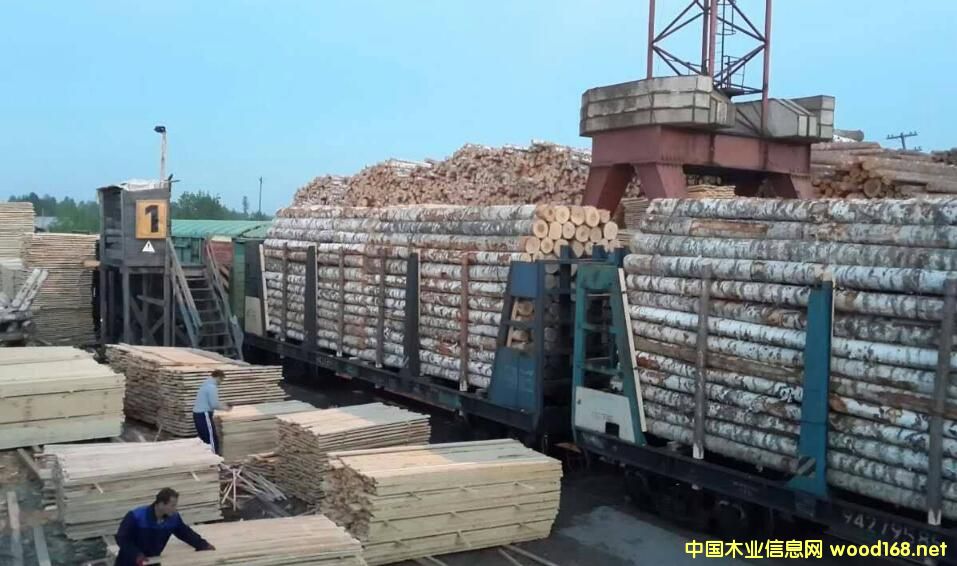 ���_˹�h(yu��n)�|�؅^(q��)��(y��n)�錦(du��)�Aľ�ĳ��� ������ֹ���ژ�ľ