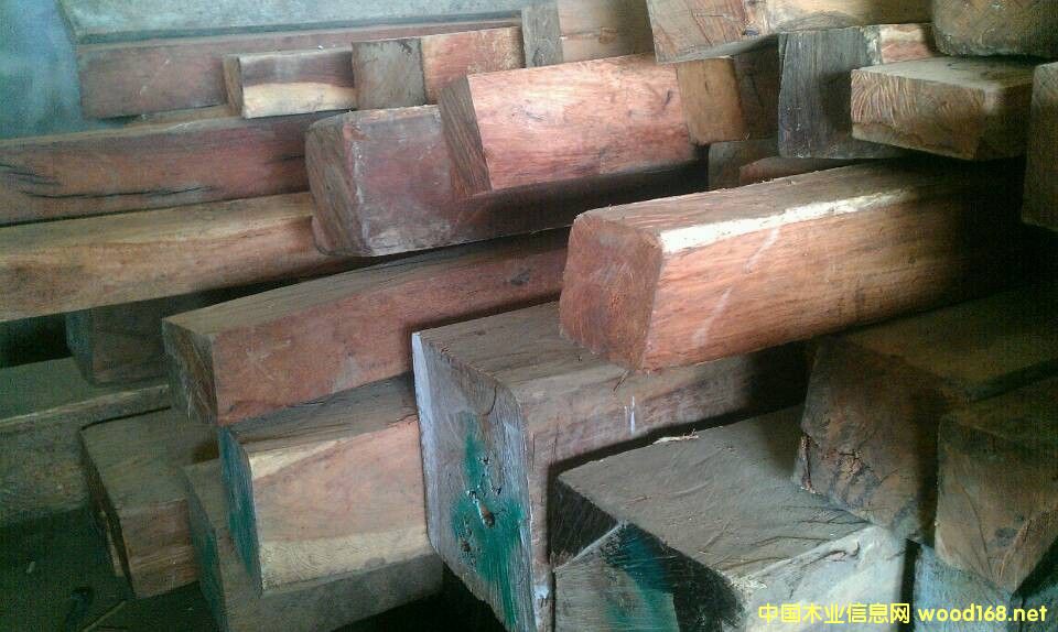 ��������̴