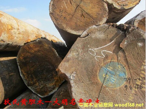 ľ�Ę�NԔ��--�����Sđľ  �׷Q: �͵�ľ���Ӽ{��̴