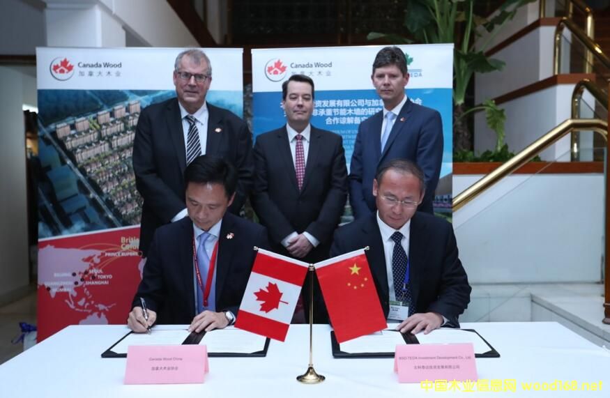 ����̩�_�c���ô�ľ�I(y��)�f(xi��)�����A(y��)�Ʒǳ��ع�(ji��)��ľ�����о��_�l(f��)�c��(y��ng)��