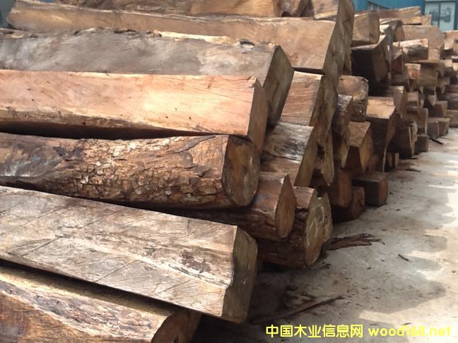 ���޻����������tľ