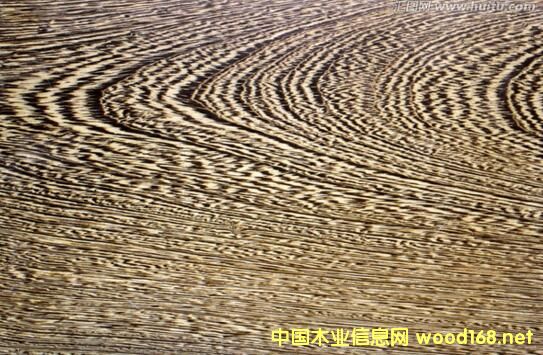 ˹�D�¶�ľ���u��ľ���ă�(y��u)�c��ȱ�c