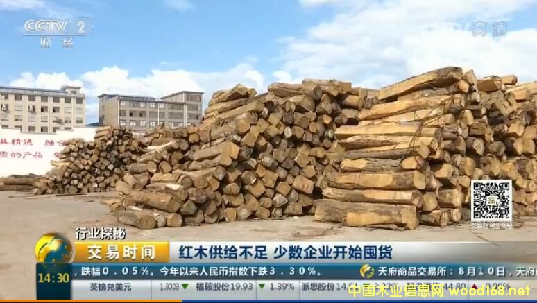 �ϓ�ľ�Ŀ��������@����(y��n)��ή�s�����ټtľ�̑��_ʼ��؛