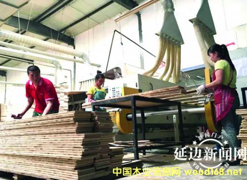 �ػ�ɭ̩ľ�I(y��)���Ƽ���(chu��ng)���A�W���Ј�