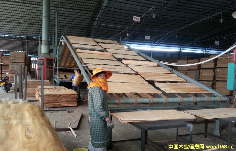 �������ľ�I(y��)���b���L�w��Ĥ�z�ϰ��A�õ�ǧ�f��ӆ��