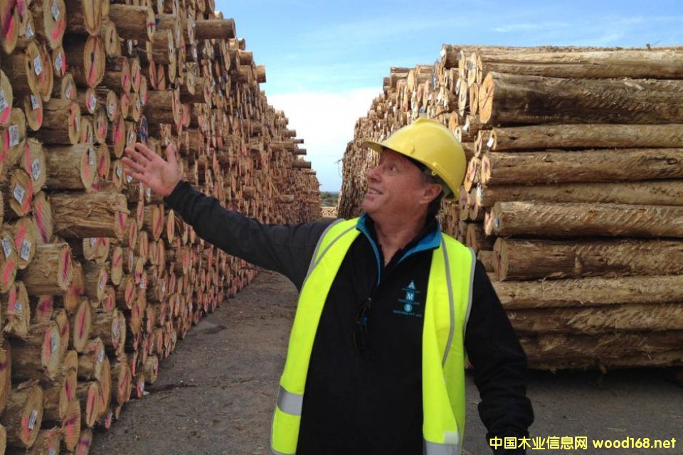 �Ĵ���������ľ�����Ї��ҵ����´�ꑡ�