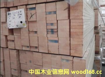 ���mľ���Ј����S ��ɼ䏲ăr(ji��)���߄ݜغ�