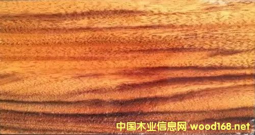 �tľ����ģ�������ľ���Ј��ȵĴ���w�ٶ�