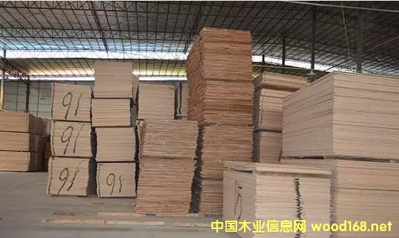 ľ���Ј�(ch��ng)�������R�������?q��)�����������ܵ��ˆ�?><br>
                      <font size=3><b>ľ���Ј�(ch��ng)�������R����</b></font></a></div>
                  </td>
                </tr>
                 
              </table>
              
            </td>
          </tr>
          </tbody> 
        </table>
        <table border=0 cellspacing=0 cellpadding=0 width=