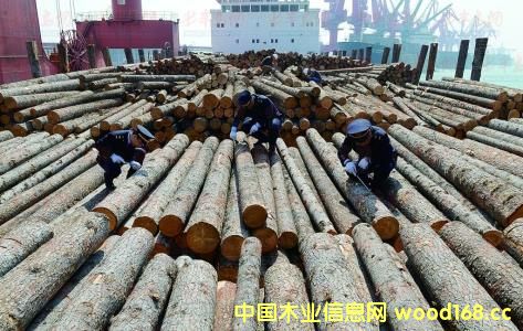 ���ݿڰ�2016����M(j��n)��ľ���׳�3�f����