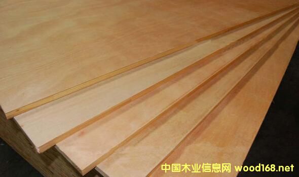 ��о��--�]���N������Ҫ�N��������NľƤ