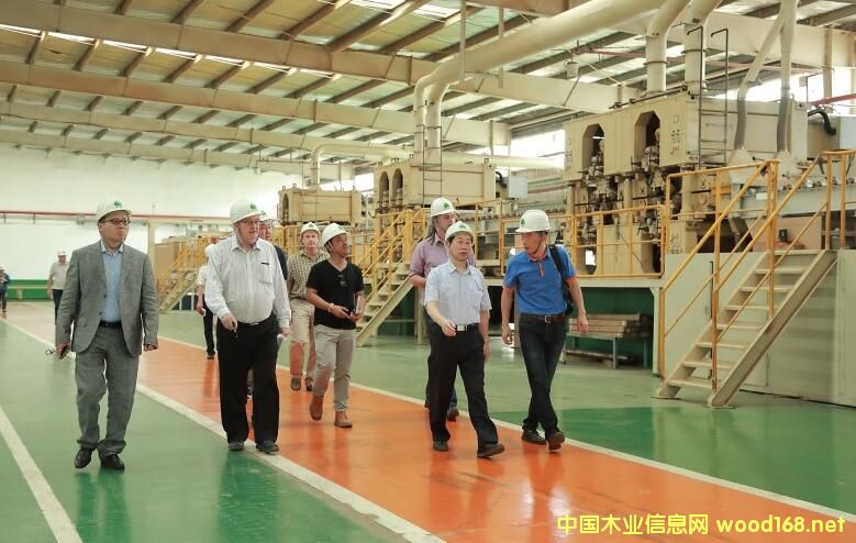 �����m���Ĵ��������R������ľ���ИI(y��)����F���S��ľ�I(y��)