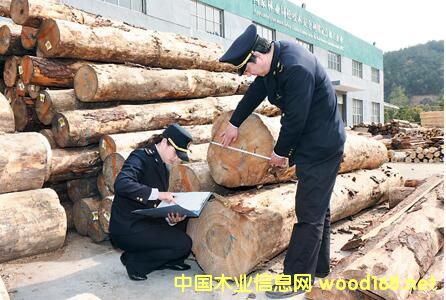 �������M(j��n)��ľ�Ŀ��������L(zh��ng)���Ⱦ���(chu��ng)�v�����