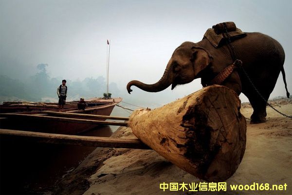 �|�ρ��tľ�M���y�ȶ�����һ���y����Ɲq�Ҿ�����